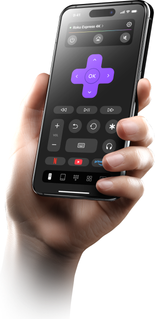 TVRem interface with a connected Roku TV